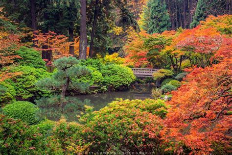 Mafic Garden Portland: A Perfect Getaway for Nature Lovers